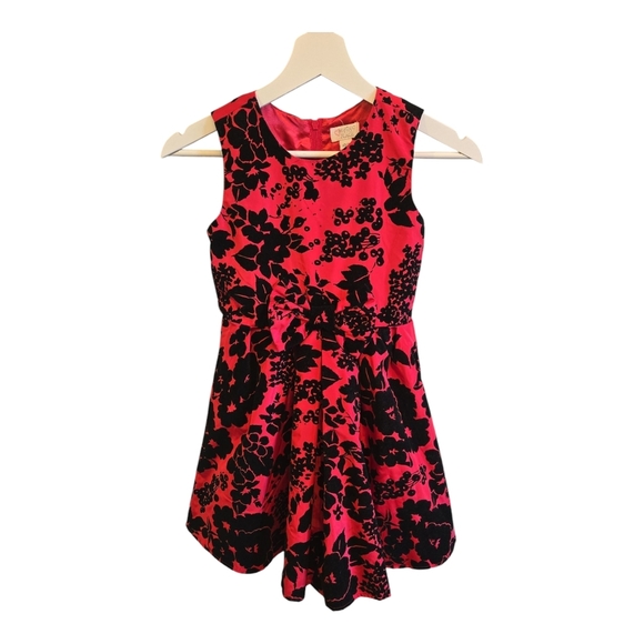 The Children's Place Other - THE CHILDREN PLACE Velvet Floral Red and Black Dress